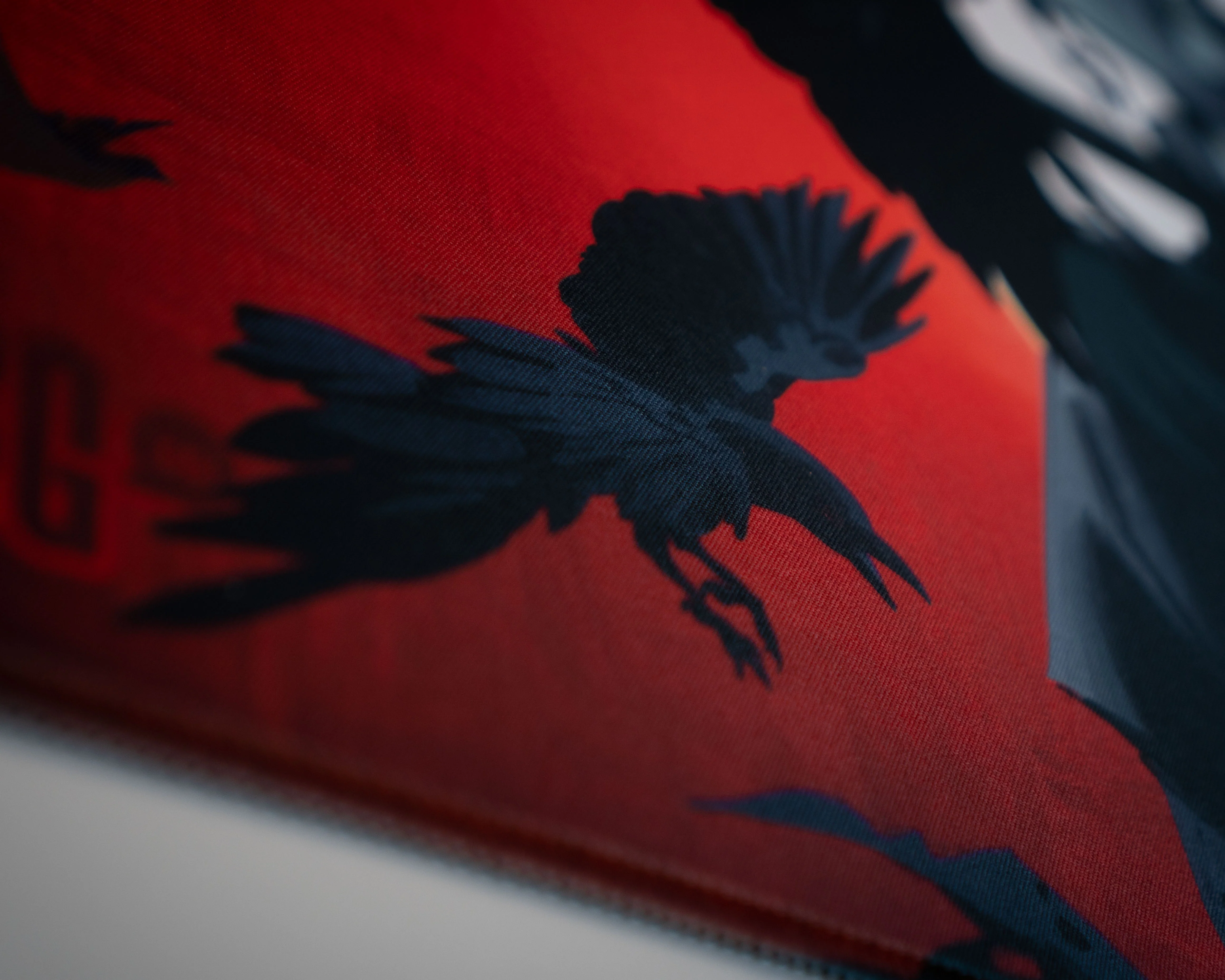 Birds of Prey (14"x24") - Image 3